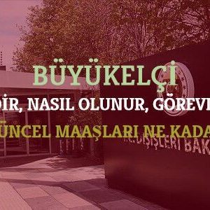 buyukelci nedir nasil olunur gorevleri maaslari