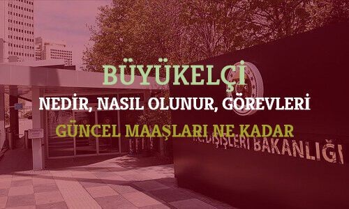 buyukelci nedir nasil olunur gorevleri maaslari
