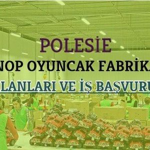 polesie sinop oyuncak fabrikasi isci alimi is ilanlari is basvurusu