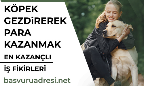 Kopek Gezdirerek Para Kazanmak Kopek Gezdiriciligi Nedir