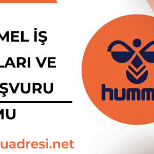 Getir Personel Sofor Kurye Alimi Is Ilanlari Ve Is Basvurusu 2021