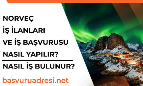 norvec is ilanlari ve is basvurusu formu nasil basvuru yapilir