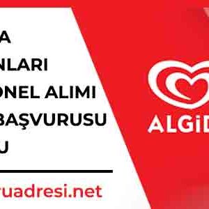 algida is ilanlari personel alimi ve is basvurusu