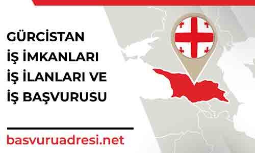 gurcistan is imkanlari is ilanlari ve is basvurusu