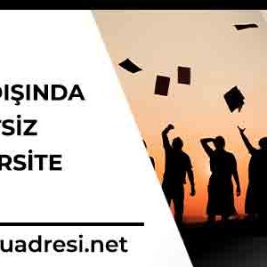 yurtdisinda ucretsiz universite