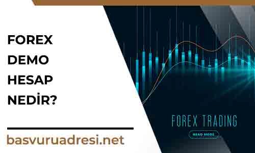 forex demo hesap nedir